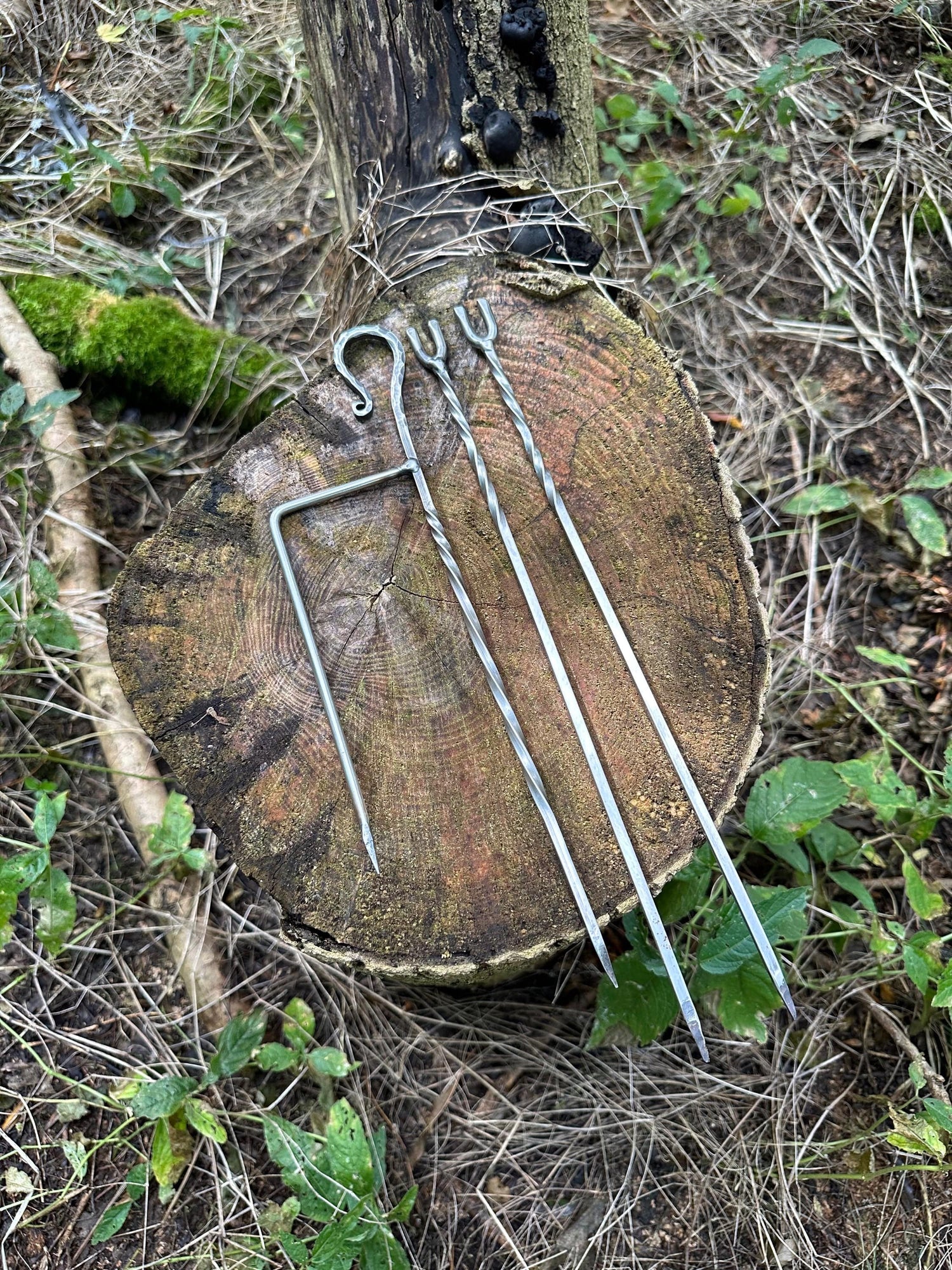 304 Mini Spit Roast