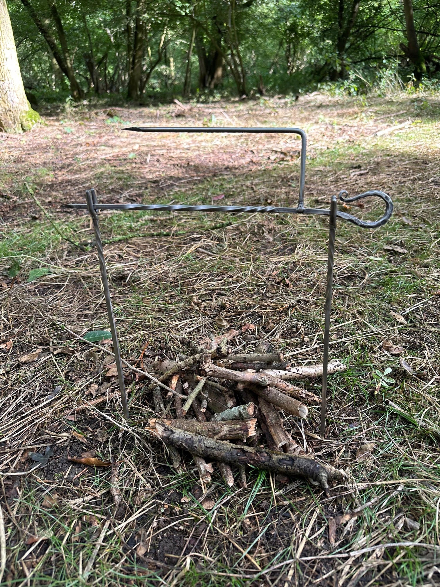 304 Mini Spit Roast